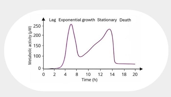 Announcement - 2026-02-06T112759.931-1