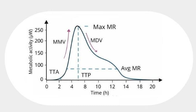 Announcement - 2026-02-06T112907.373