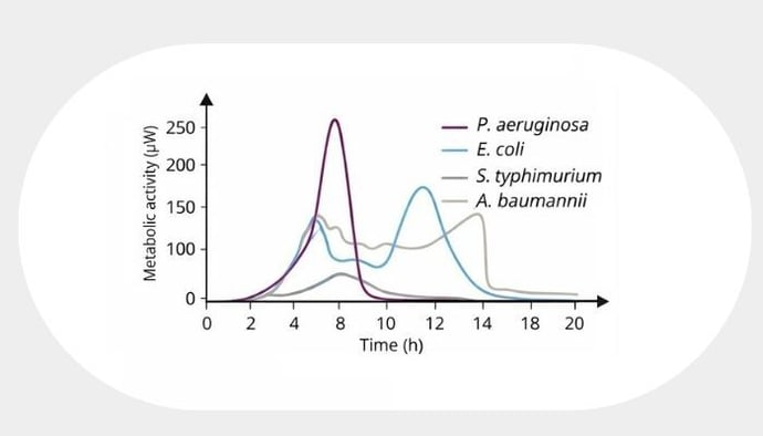 Announcement - 2026-02-06T112926.888