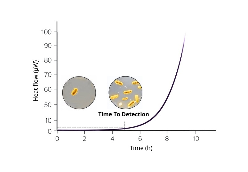 Biocalorimetry