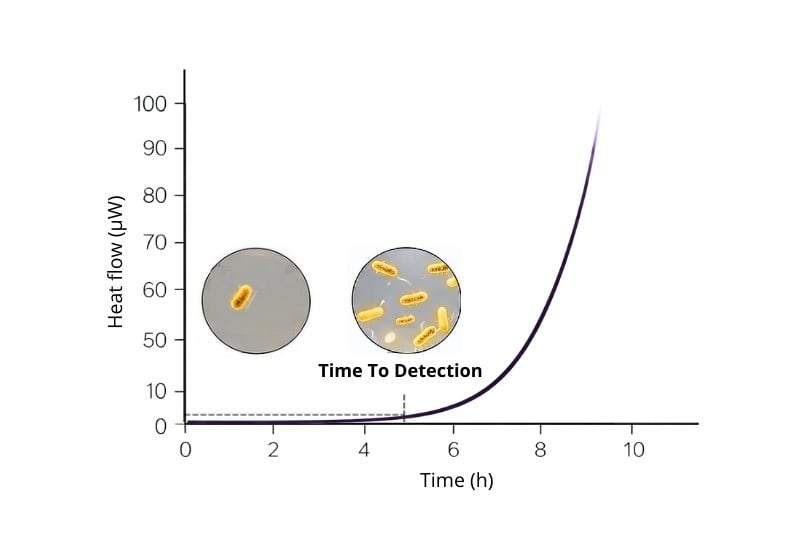 Bild time to detection (2)