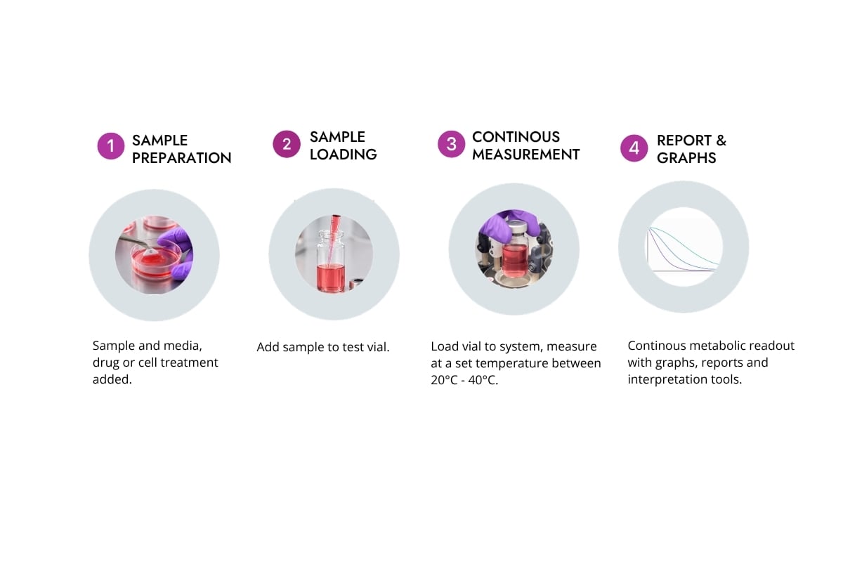 Cell research experimental workflow