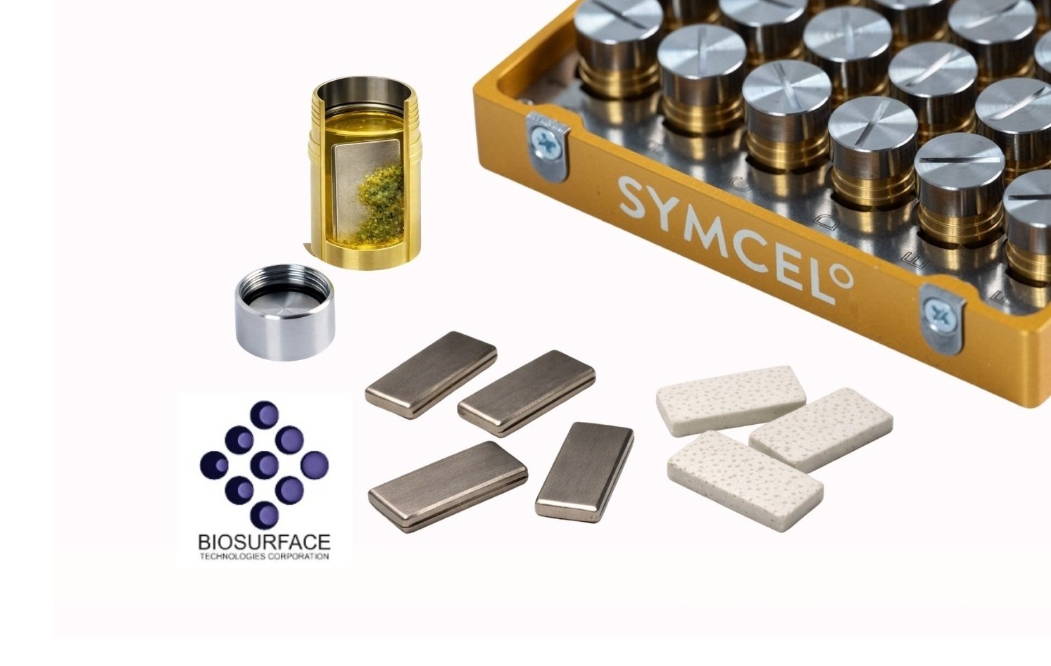 Ssurface attached biofilm (3)