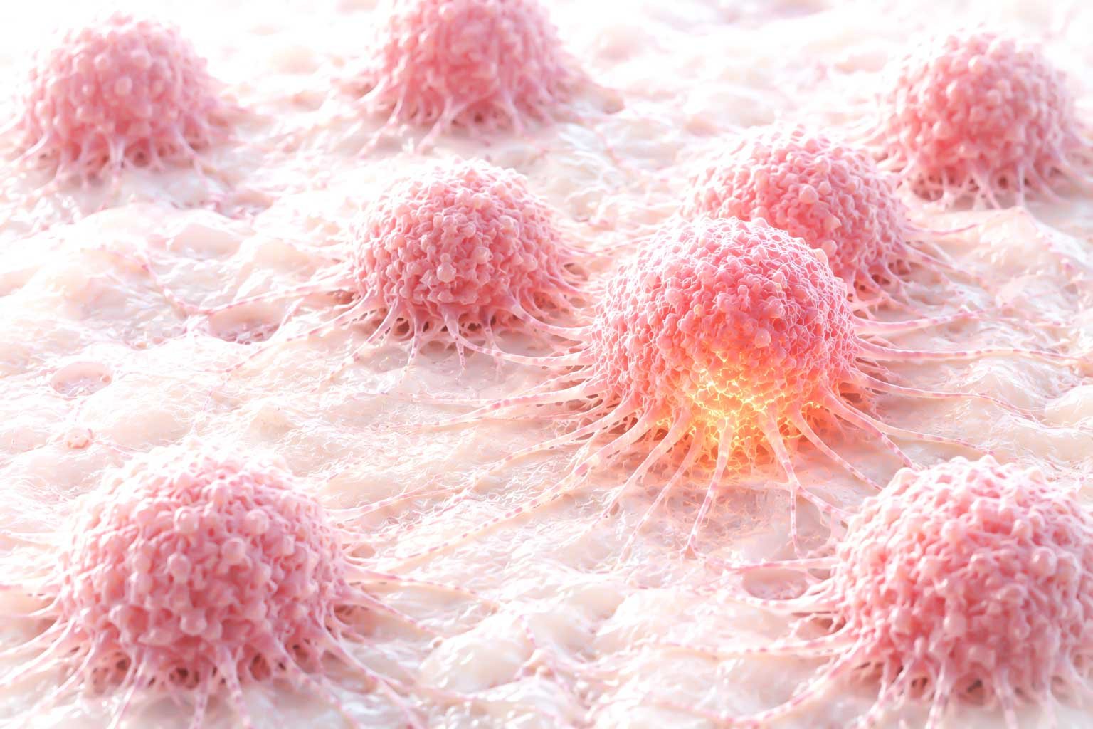 cancer cells metabolic test