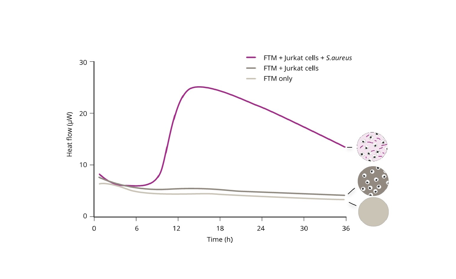complex backgorunds 3