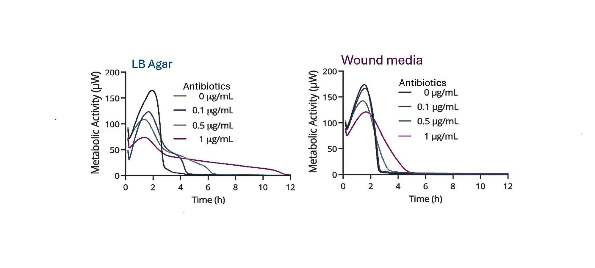 wound model graph-5-1